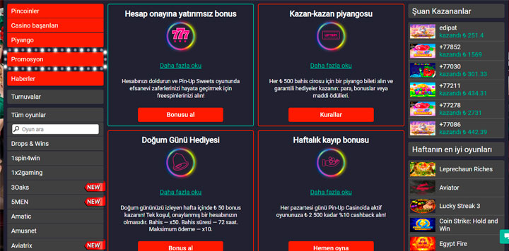 Bonuslar ve Türleri